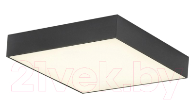 Потолочный светильник Citilux Тао CL712X242N - фото