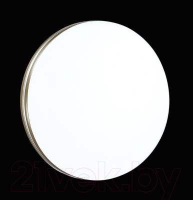 Потолочный светильник Sonex Smalli 3015/CL