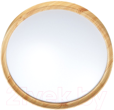 Потолочный светильник Sonex Woodi 3019/EL - фото