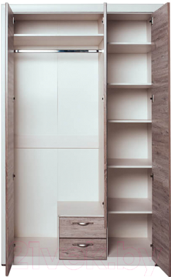 Шкаф Anrex Olivia 3D2S Z (вудлайн кремовый/дуб аскона)