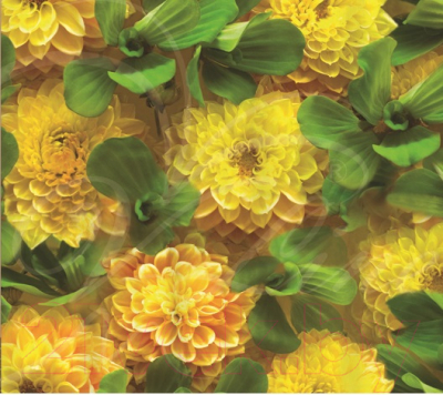 Шторка-занавеска для ванны V-line 1577-1 180x180 - фото