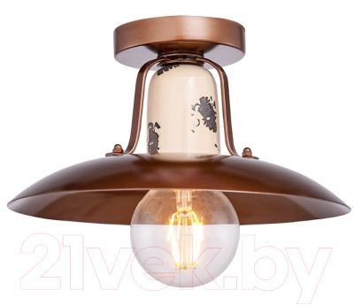 Потолочный светильник Lussole Loft Vermilion LSP-8161 - фото