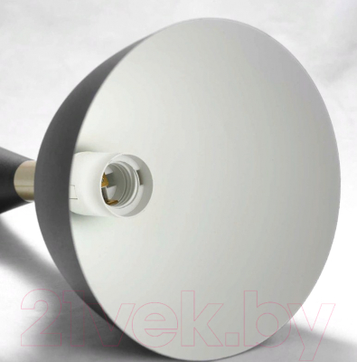 Потолочный светильник Lussole LSP-8150