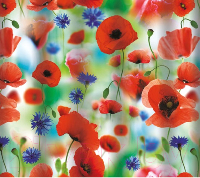 Шторка-занавеска для ванны V-line 1576-1 180x180 - фото