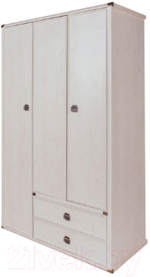 Шкаф Anrex Magellan 3DG2S (сосна винтаж)