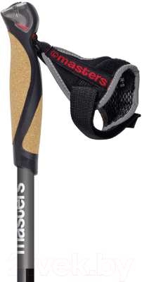 Палки для скандинавской ходьбы Masters Traing Speed / 01N0519