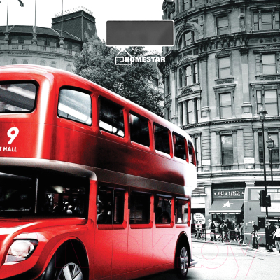 Напольные весы электронные HomeStar HS-6001F - фото