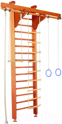 Детский спортивный комплекс Карусель 2Д.02.01 к стене (орех) - фото