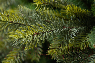 Ель искусственная GreenTerra Кашемир F