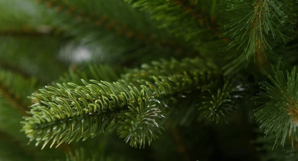 Ель искусственная GreenTerra Натурелли