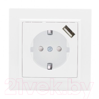 Розетка EKF Basic Минск СП 1-м 16А / ERR16-028-100-USB - фото