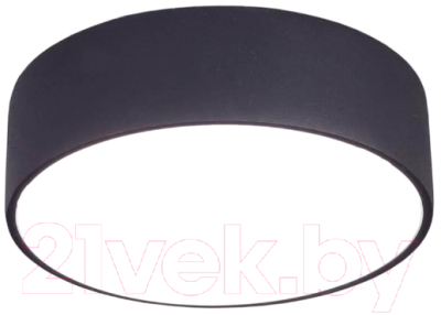 Потолочный светильник Citilux Тао CL712122N - фото