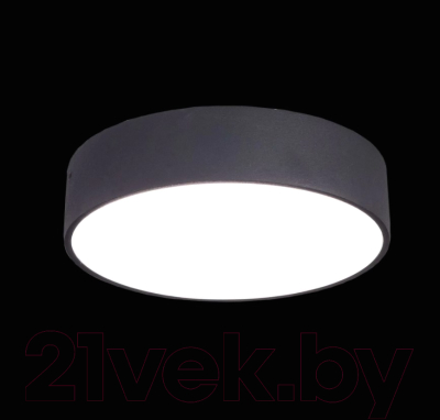 Потолочный светильник Citilux Тао CL712182N