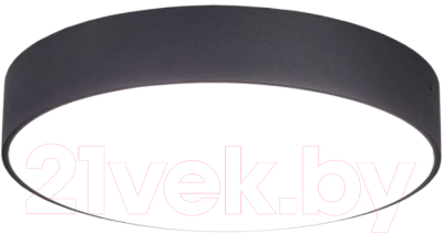 Потолочный светильник Citilux Тао CL712242N - фото