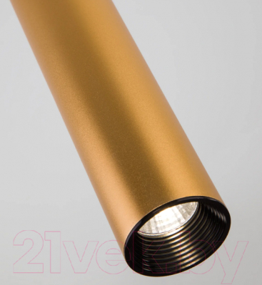 Потолочный светильник Elektrostandard 50161/1