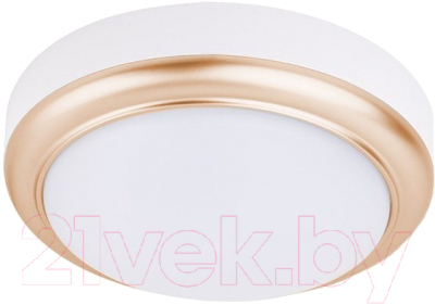 Потолочный светильник TDM SQ0354-0018 - фото