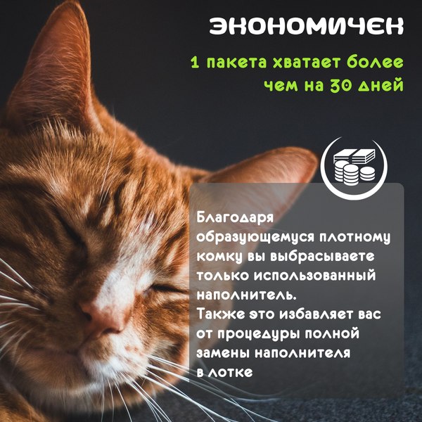 Наполнитель для туалета Cat Step Tofu Green Tea / 20333004