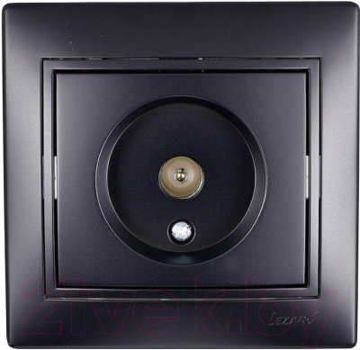 Розетка Lezard Mira 701-4242-129 - фото