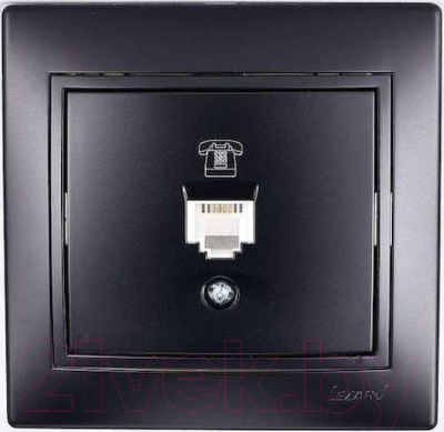 Розетка Lezard Mira 701-4242-137 - фото