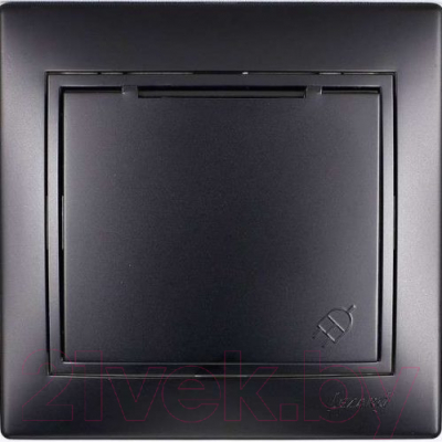 Розетка Lezard Mira 701-4242-123 - фото