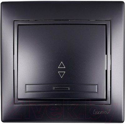 Выключатель Lezard Mira 701-4242-105 - фото