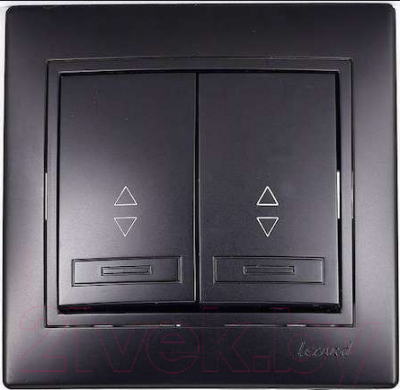 Выключатель Lezard Mira 701-4242-106 - фото