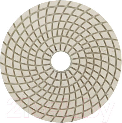 Шлифовальный круг Trio Diamond 350100 - фото