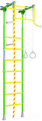 Детский спортивный комплекс Romana R2 01.20.7.06.490.02.00-11 - фото