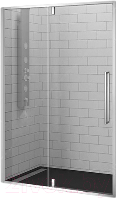 Душевая дверь RGW SV-03 / 06320310-11 - фото
