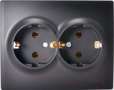 Розетка Lezard Karina 707-4200-127 - фото