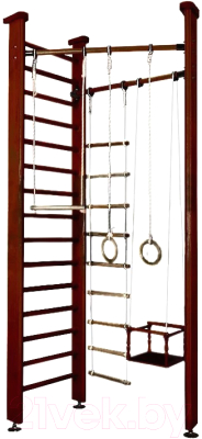 Детский спортивный комплекс Карусель 3Д.01.01 (венге) - фото