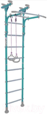 Детский спортивный комплекс Midzumi Ringu - фото