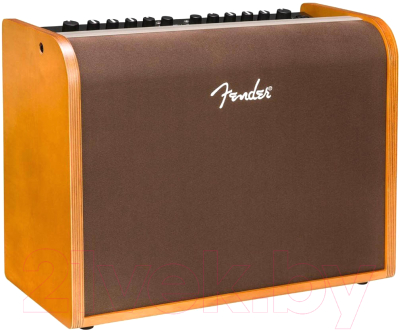 Комбоусилитель Fender Acoustic 100 - фото