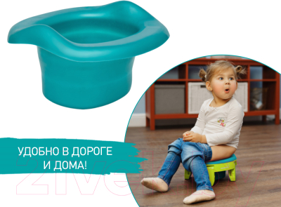 Вставка для детского горшка ROXY-KIDS ML-235RU-G