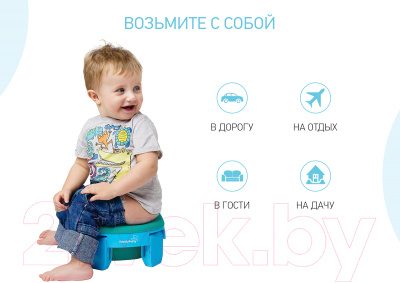 Вставка для детского горшка ROXY-KIDS ML-235RU-G