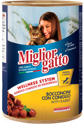 Влажный корм для кошек Miglior Gatto Classic Rabbit - фото