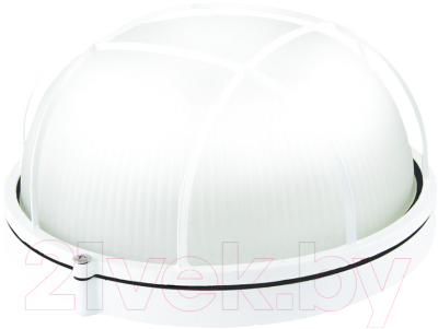 Светильник ЖКХ TDM SQ0329-0035 - фото