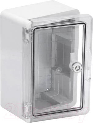 Бокс пластиковый TDM SQ0933-0202 - фото