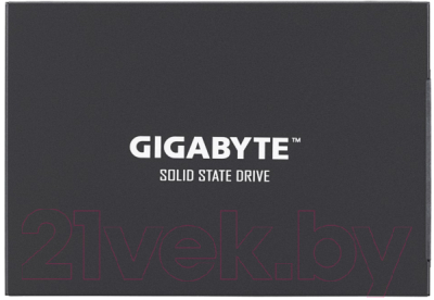 SSD диск Gigabyte 1TB (GP-GSTFS31100TNTD) - фото