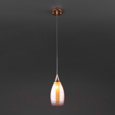 Потолочный светильник Евросвет 50085/1