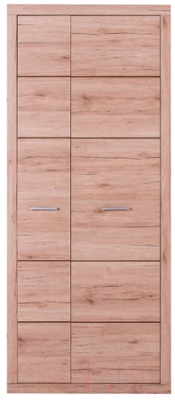 Шкаф Anrex Oskar 2D (дуб санремо)