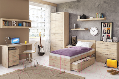 Шкаф Anrex Oskar 2D (дуб санремо)