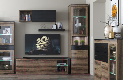 Шкаф-пенал с витриной Anrex Jagger 1V1D1SN