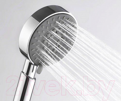 Лейка ручного душа Wasserkraft A036