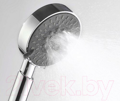 Лейка ручного душа Wasserkraft A036