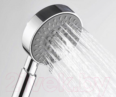 Лейка ручного душа Wasserkraft A036