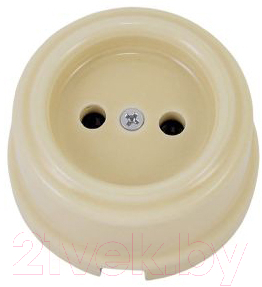 Розетка TDM Болонь SQ1820-0311 - фото