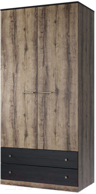 Шкаф Anrex Jagger 2DG2S - фото