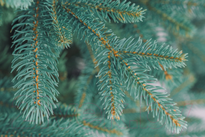 Ель искусственная Бифорес Фантастика микс голубая / ФНМГ 195