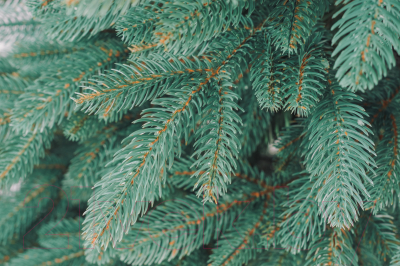 Ель искусственная Бифорес Крона микс голубая / КРМГ 165